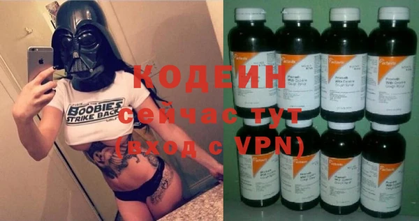 молекула духа Арсеньев
