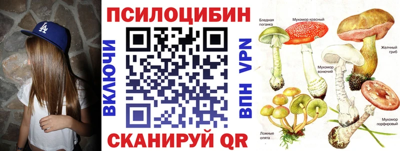 Псилоцибиновые грибы прущие грибы  хочу   сайты даркнета Telegram  Прохладный 